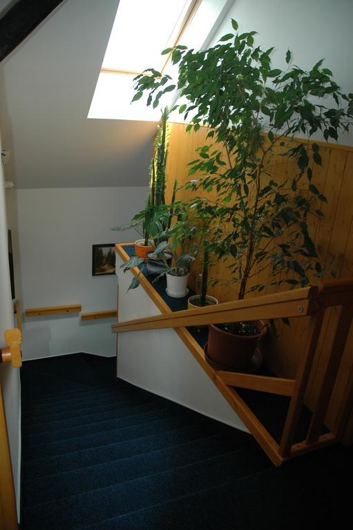 Privat Novac Apartment Nove Mesto nad Metuji Exterior photo